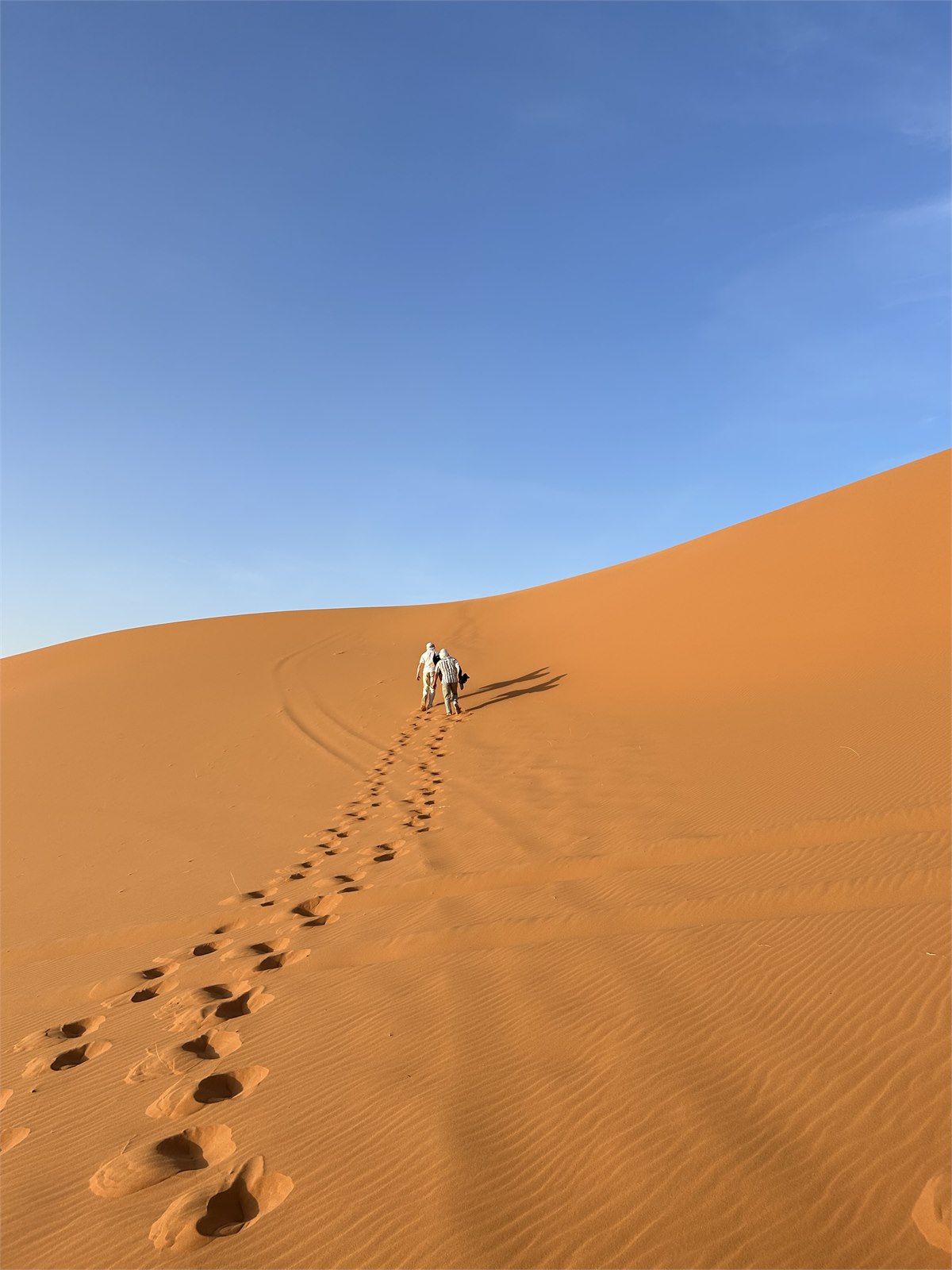 Sahara Desert travel photo from Sahir Sood's study abroad travels